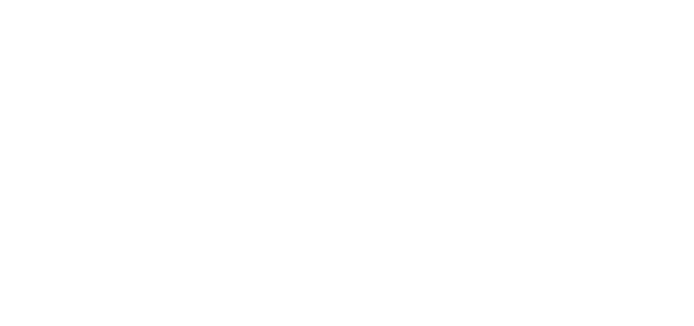 Shanghai ForTran Law Firm